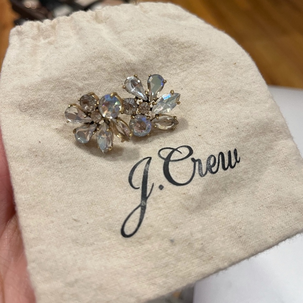 J Crew Earrings